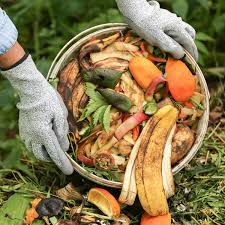 🍂Composting 101🍂