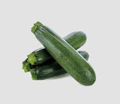 Zucchini seedling