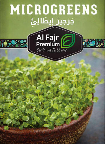 Italian Arugula Microgreen seeds ( Al-fajr Premium)