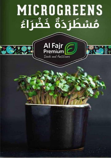 Mustard Microgreens seeds ( Al-Fajr Premium)