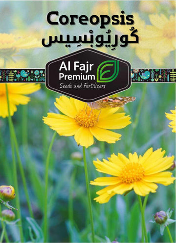 Coreopsis flowers seeds ( Al-Fajr premium)