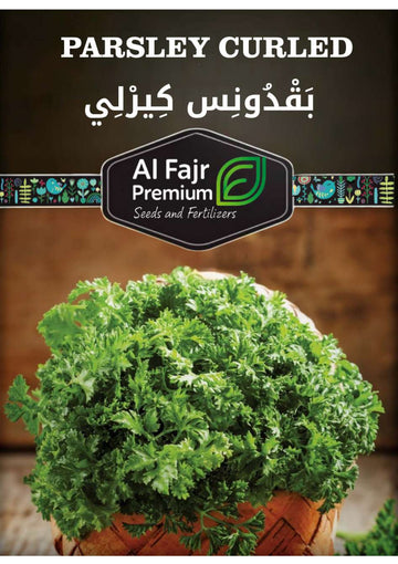 Curled Parsley seeds (Al-Fajr premium)