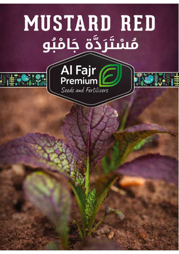 Red Mustard Premium Seeds (Al_Fajr)