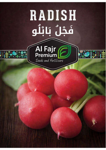 Baby Pablo Radish seeds ( Al-Fajr premium)