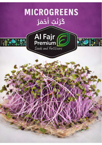 Red Cabbage Microgreens seeds (Al-Fajr Premium)