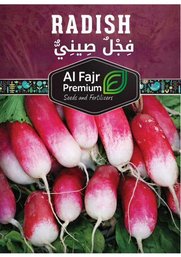 Chinese Radish premium seeds Al-Fajr