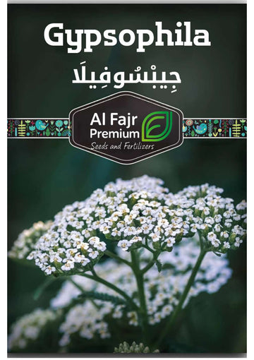 Gypsophila seeds (AlFajr Premium)