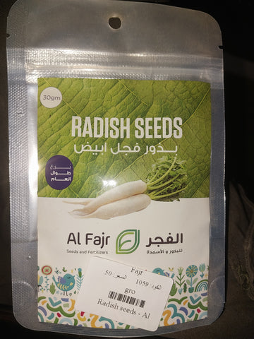 White Radish seeds Alfajr