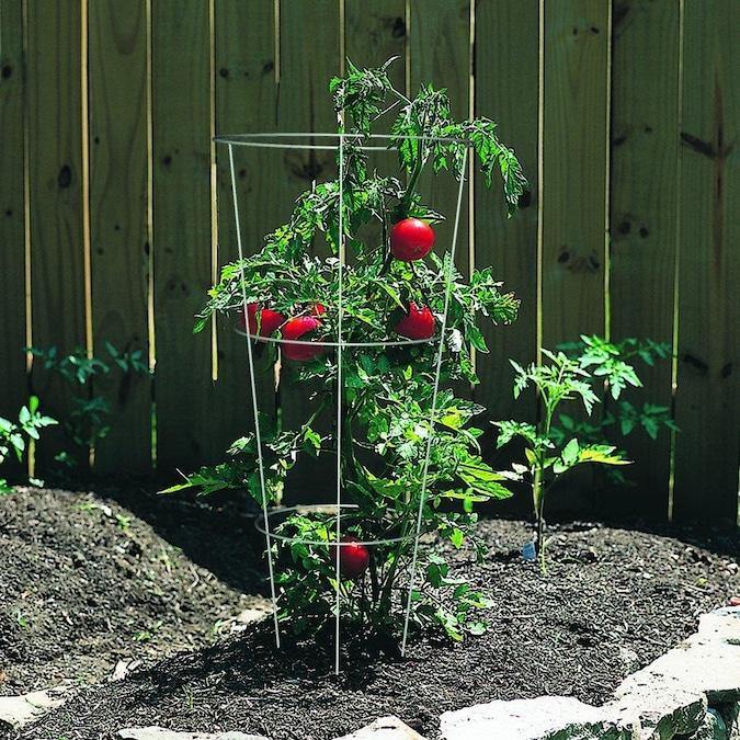 Round Tomato Cage - Growpro Egypt