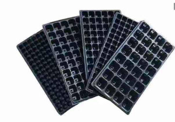 Seed Starting Tray